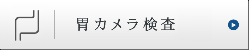 胃カメラ検査